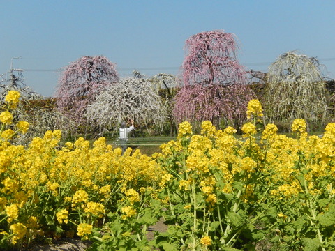 DSCN9021