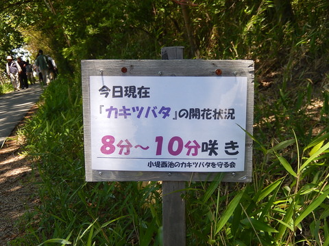 DSCN1956