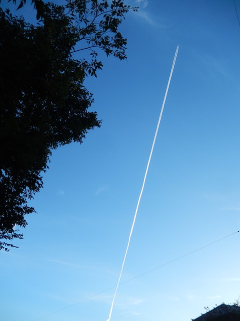 DSCN8571