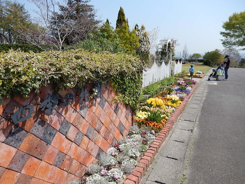 DSCN0702