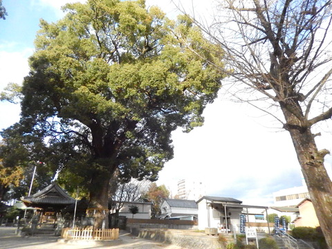 DSCN0374