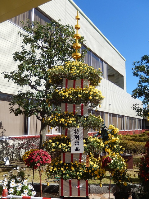 DSCN8140