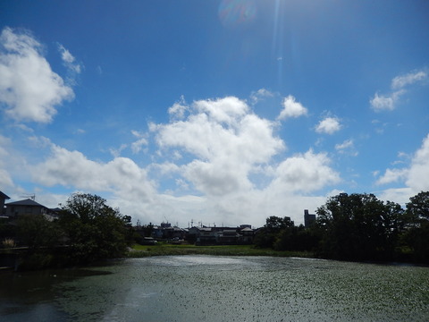 DSCN5982