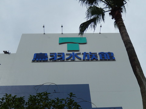 DSCN5258