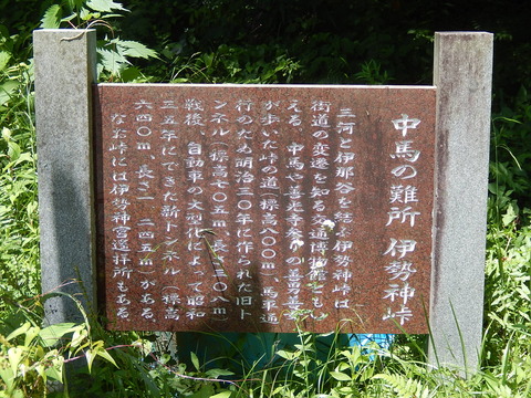 DSCN7565