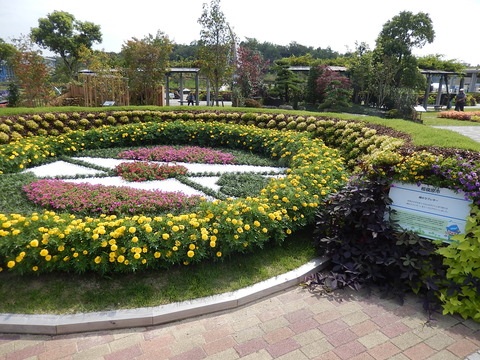 DSCN6110