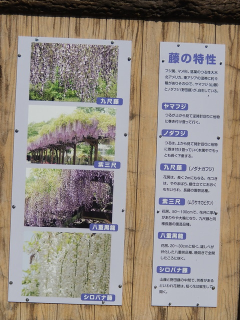 DSCN1156