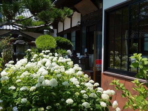 DSCN0386