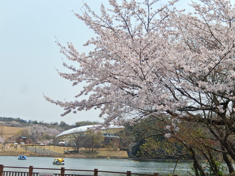DSCN2872