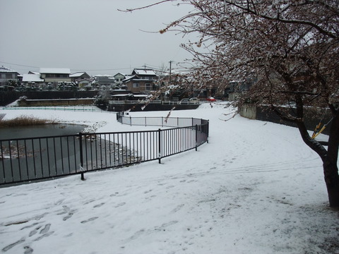 DSCF0084
