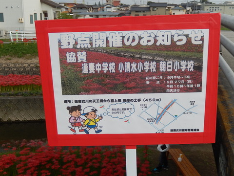 DSCN6331