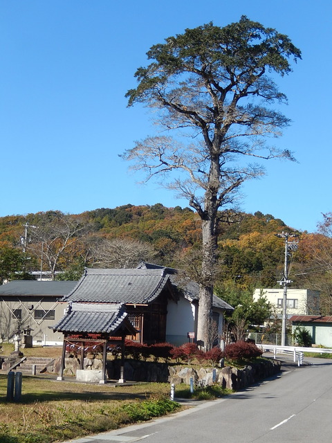 DSCN8063