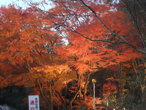 DSCF0006