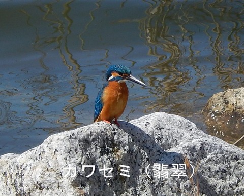 DSCN0154 (2)