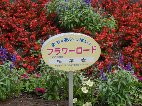 DSCN3638