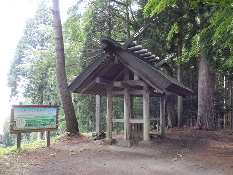 DSCN7604