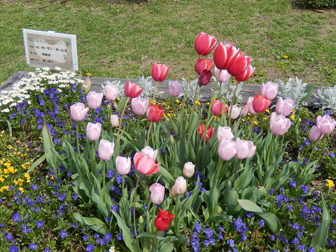DSCN0803