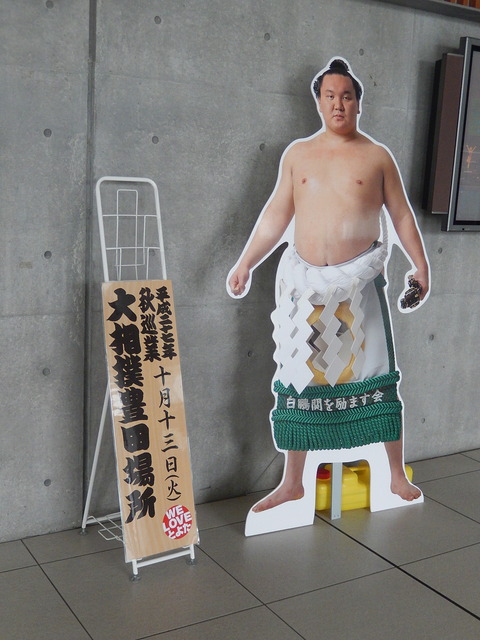 DSCN6308