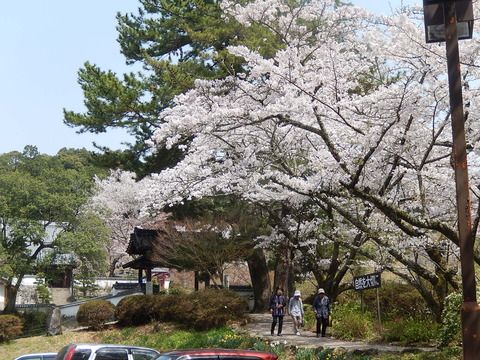 DSCN2285