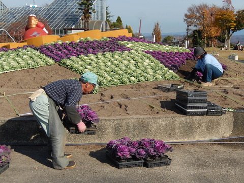 DSCN9503