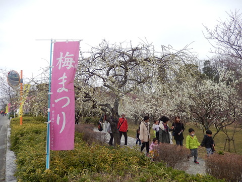 DSCN8618