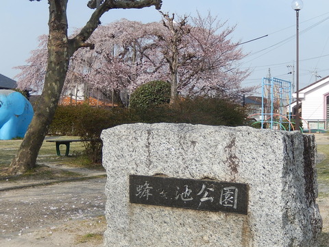 DSCN2373