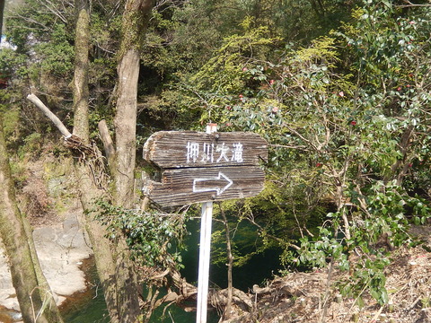DSCN2358