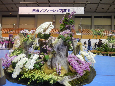 DSCN0280