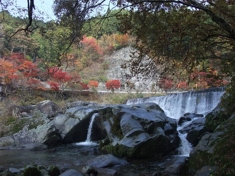 DSCF0274