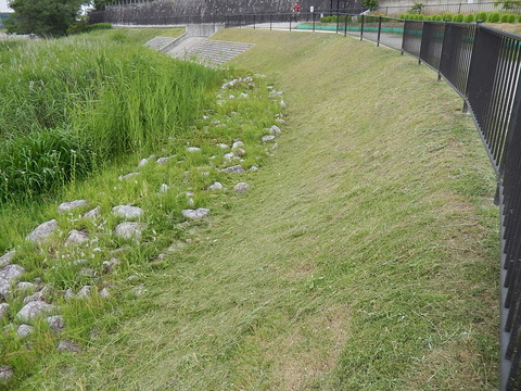 DSCN0170