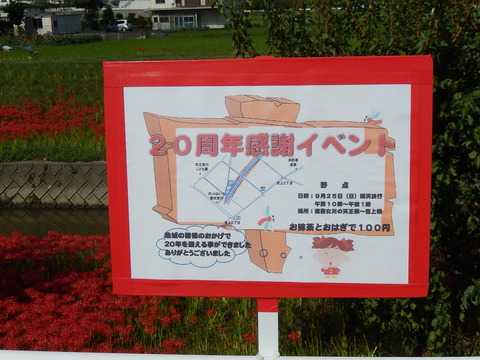 DSCN8587
