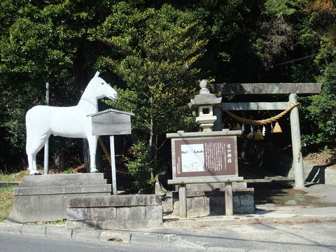 DSCF0097