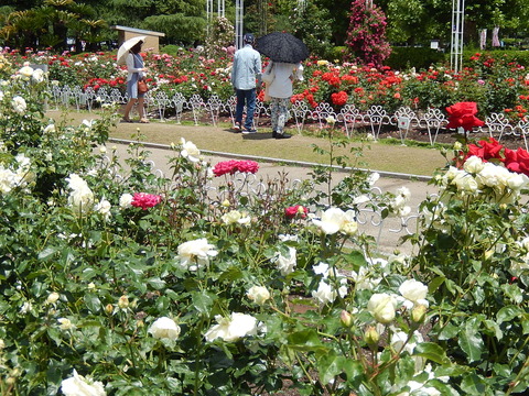 DSCN9663