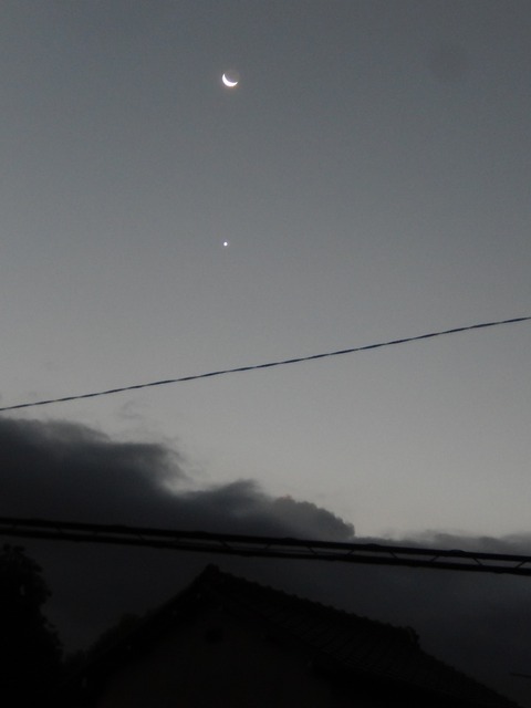 DSCN6010 (2)