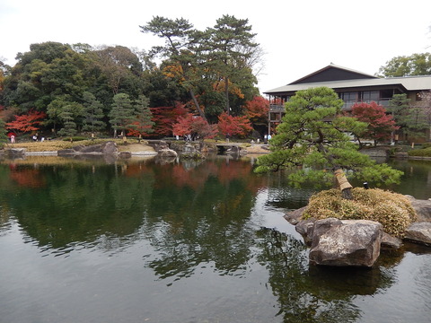 DSCN0679