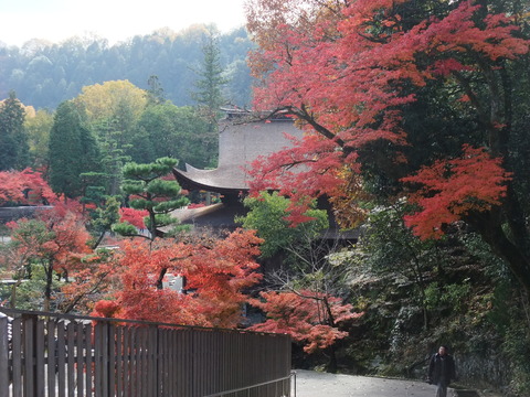 DSCF0002