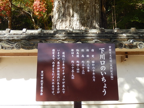 DSCN8219