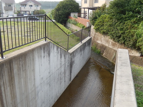 DSCN3949