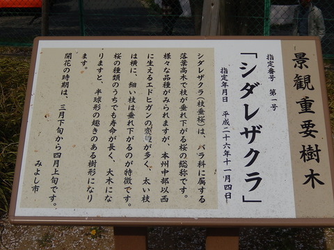 DSCN2382