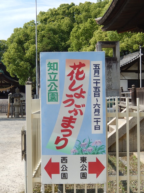 DSCN2846