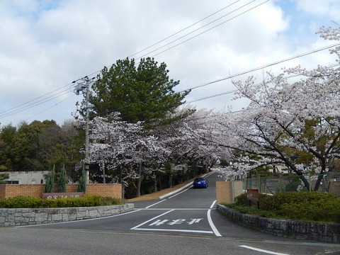DSCN0327