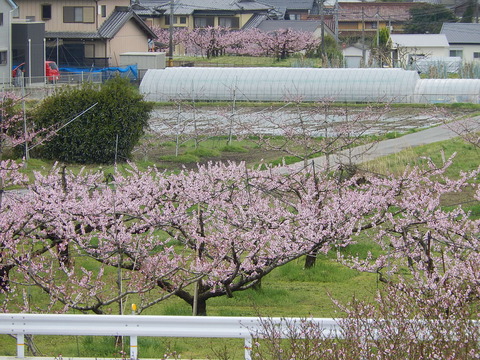 DSCN0225