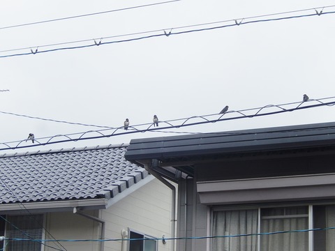 DSCN4854