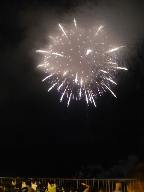 DSCN4288