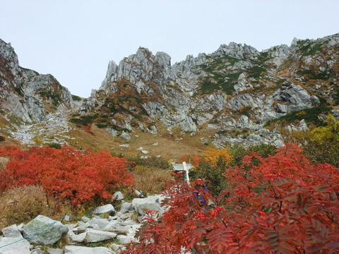 DSCF0121
