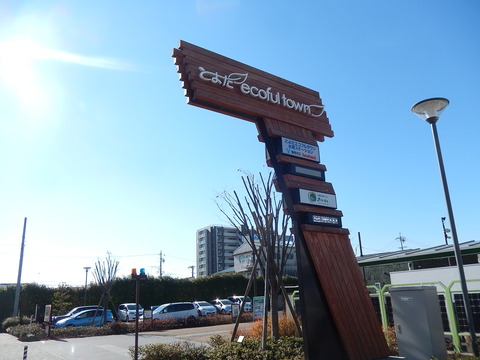 DSCN8970