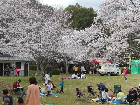 DSCN2483