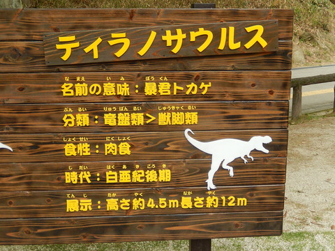 DSCN0923