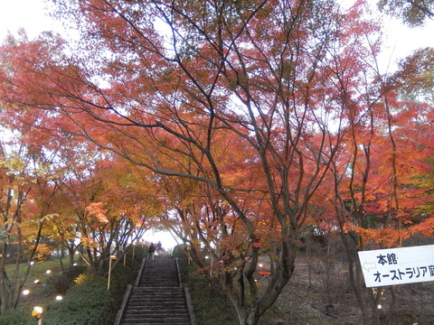 DSCN9141