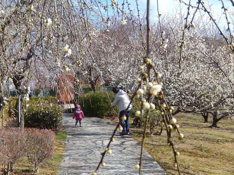 DSCN0721